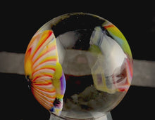 Load and play video in Gallery viewer, Borosilicate Milli Marble
