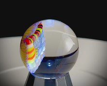 Load and play video in Gallery viewer, Borosilicate compression marble
