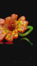 Load and play video in Gallery viewer, Glass Flower
