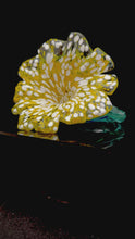 Load and play video in Gallery viewer, Glass Flower
